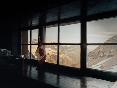 Cozy cat-friendly living room